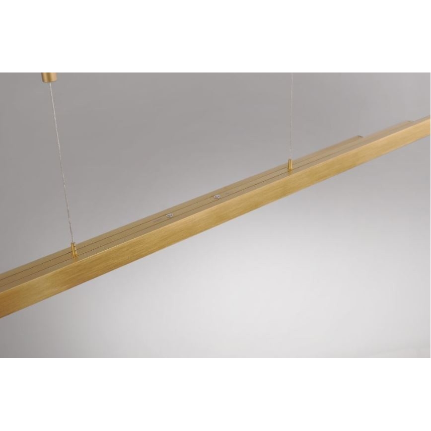 Paul Neuhaus 2568-60 - LED Dimmable chandelier on a string ADRIANA LED/14W/230V  2700-5000K brass