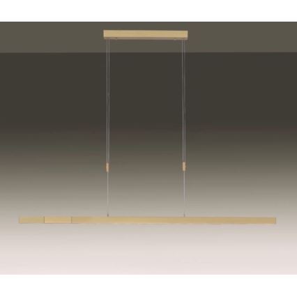 Paul Neuhaus 2568-60 - LED Dimmable chandelier on a string ADRIANA LED/14W/230V  2700-5000K brass