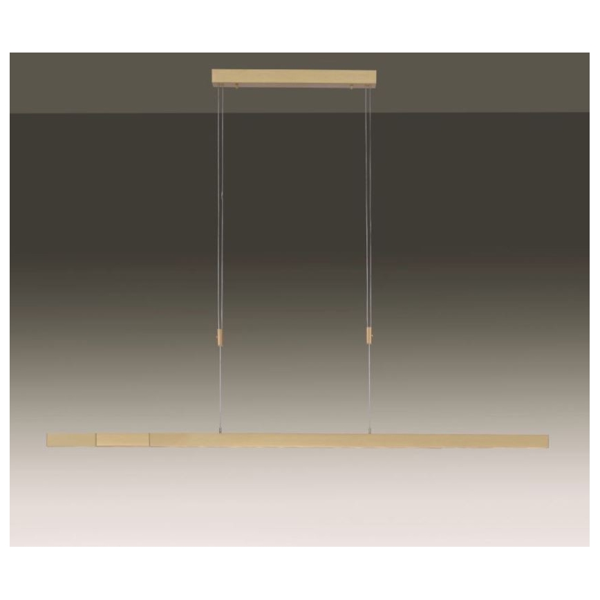Paul Neuhaus 2568-60 - LED Dimmable chandelier on a string ADRIANA LED/14W/230V  2700-5000K brass