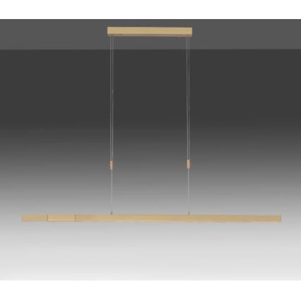 Paul Neuhaus 2568-60 - LED Dimmable chandelier on a string ADRIANA LED/14W/230V  2700-5000K brass