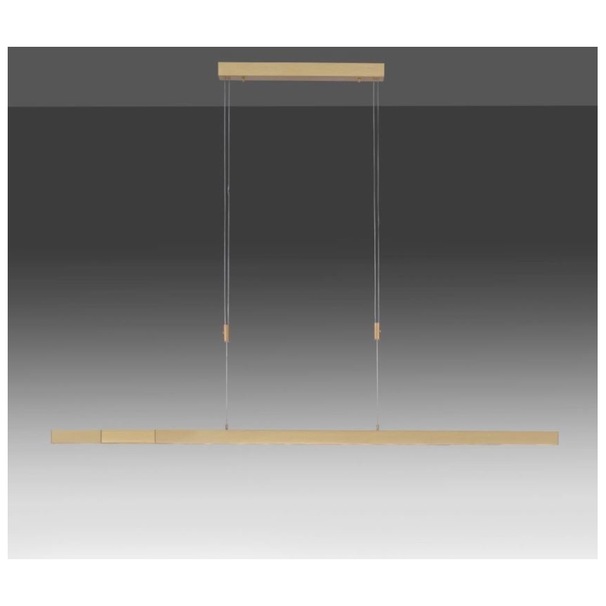Paul Neuhaus 2568-60 - LED Dimmable chandelier on a string ADRIANA LED/14W/230V  2700-5000K brass