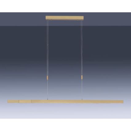 Paul Neuhaus 2568-60 - LED Dimmable chandelier on a string ADRIANA LED/14W/230V  2700-5000K brass