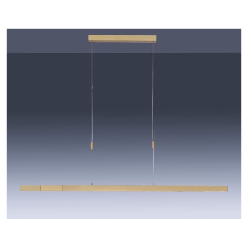 Paul Neuhaus 2568-60 - LED Dimmable chandelier on a string ADRIANA LED/14W/230V  2700-5000K brass