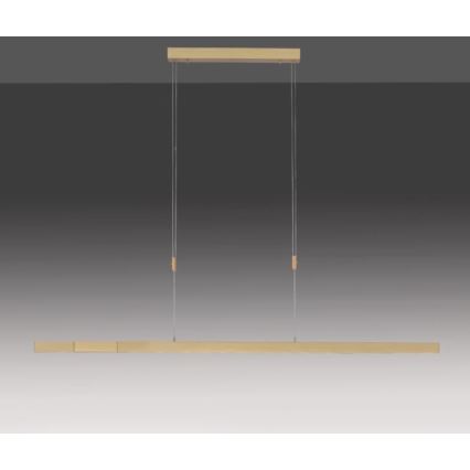 Paul Neuhaus 2568-60 - LED Dimmable chandelier on a string ADRIANA LED/14W/230V  2700-5000K brass