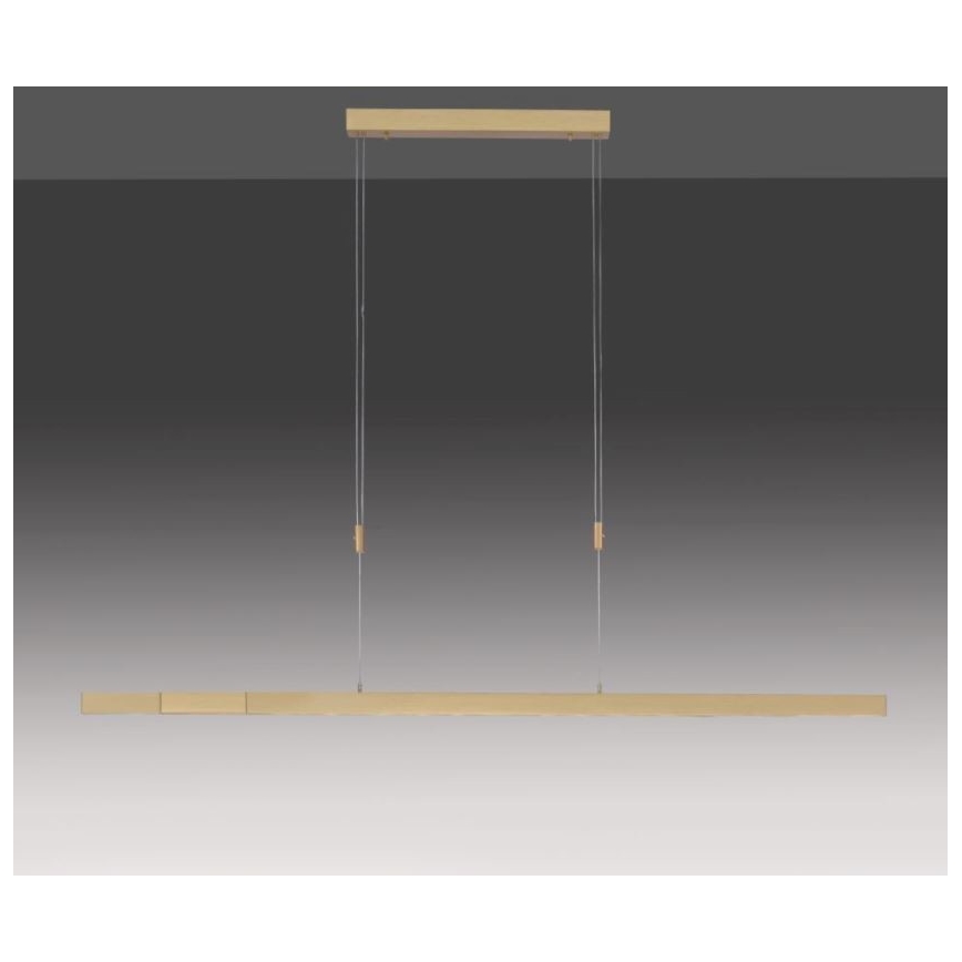 Paul Neuhaus 2568-60 - LED Dimmable chandelier on a string ADRIANA LED/14W/230V  2700-5000K brass