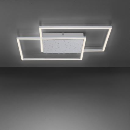 Paul Neuhaus 6024-55 - LED Dimmable surface-mounted chandelier YUKI LED/49W/230V + remote control