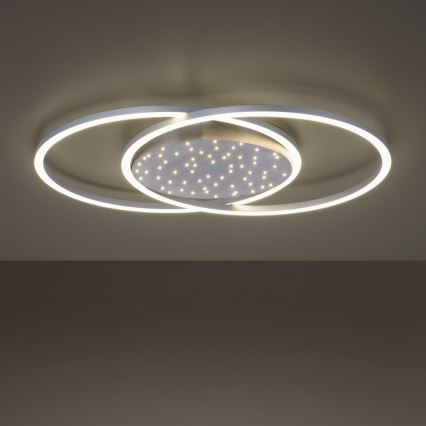 Paul Neuhaus 6025-55 - LED Dimmable ceiling light YUKI LED/48W/230V + remote control