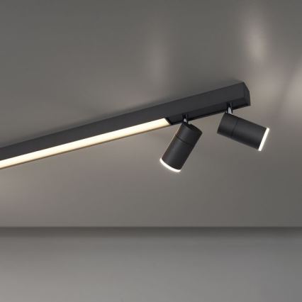 Paul Neuhaus 6121-13 - LED Dimmable spotlight PURE 4xLED/4W/230V + LED/9W 2700-5000K + remote control