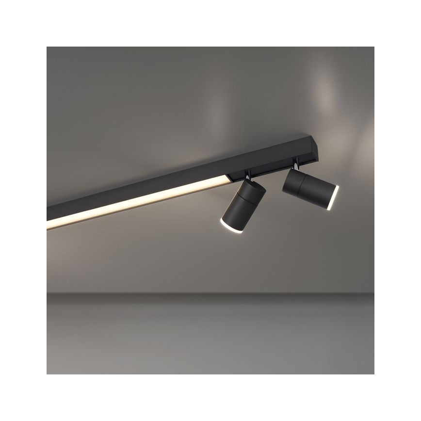 Paul Neuhaus 6121-13 - LED Dimmable spotlight PURE 4xLED/4W/230V + LED/9W 2700-5000K + remote control