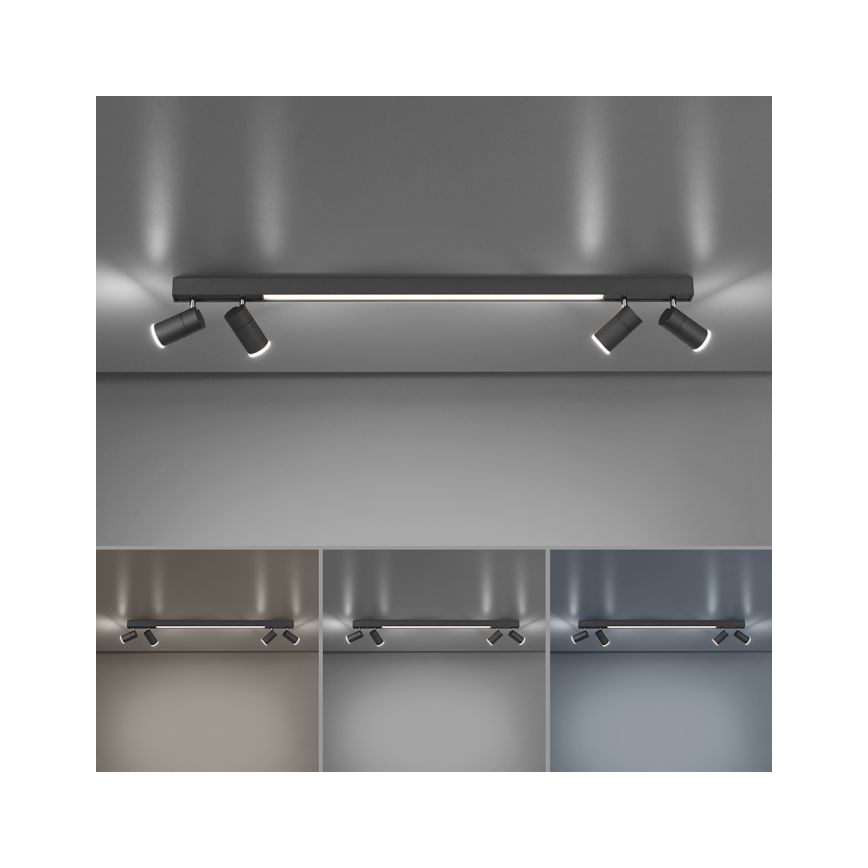 Paul Neuhaus 6121-13 - LED Dimmable spotlight PURE 4xLED/4W/230V + LED/9W 2700-5000K + remote control