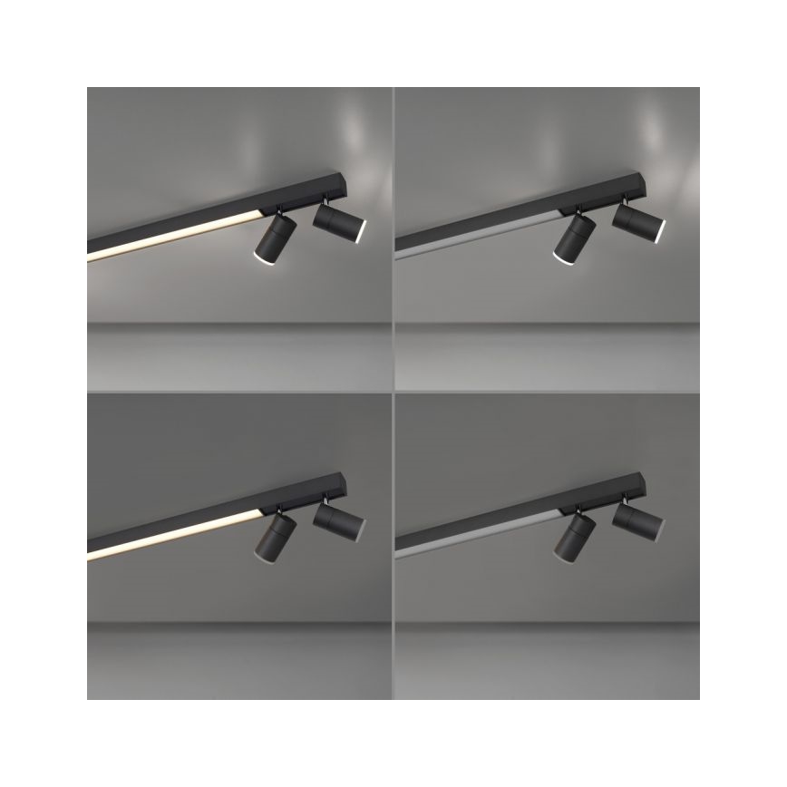 Paul Neuhaus 6121-13 - LED Dimmable spotlight PURE 4xLED/4W/230V + LED/9W 2700-5000K + remote control