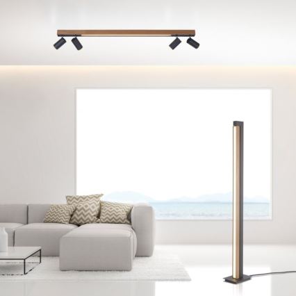 Paul Neuhaus 6121-79 - LED Dimmable spotlight PURE 4xLED/4W/230V + LED/9W 2700-5000K + remote control