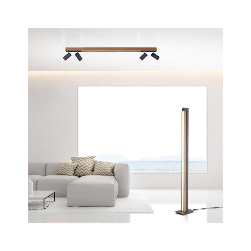 Paul Neuhaus 6121-79 - LED Dimmable spotlight PURE 4xLED/4W/230V + LED/9W 2700-5000K + remote control