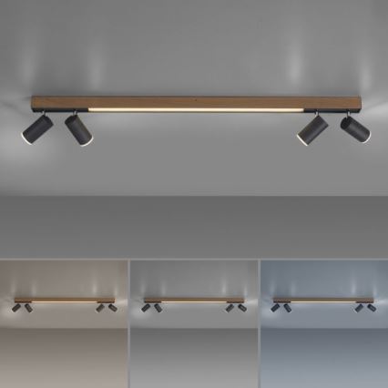 Paul Neuhaus 6121-79 - LED Dimmable spotlight PURE 4xLED/4W/230V + LED/9W 2700-5000K + remote control