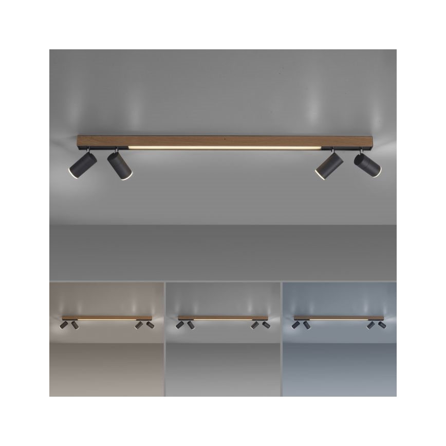 Paul Neuhaus 6121-79 - LED Dimmable spotlight PURE 4xLED/4W/230V + LED/9W 2700-5000K + remote control