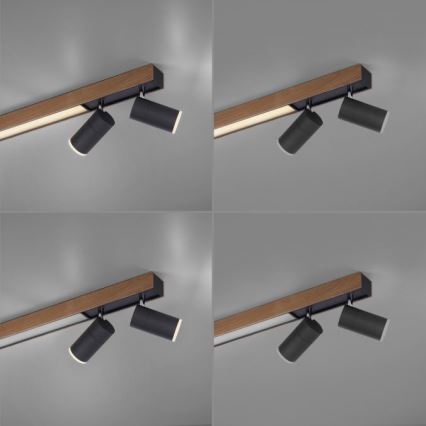 Paul Neuhaus 6121-79 - LED Dimmable spotlight PURE 4xLED/4W/230V + LED/9W 2700-5000K + remote control