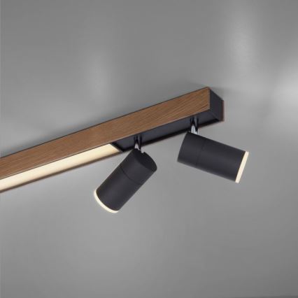 Paul Neuhaus 6121-79 - LED Dimmable spotlight PURE 4xLED/4W/230V + LED/9W 2700-5000K + remote control