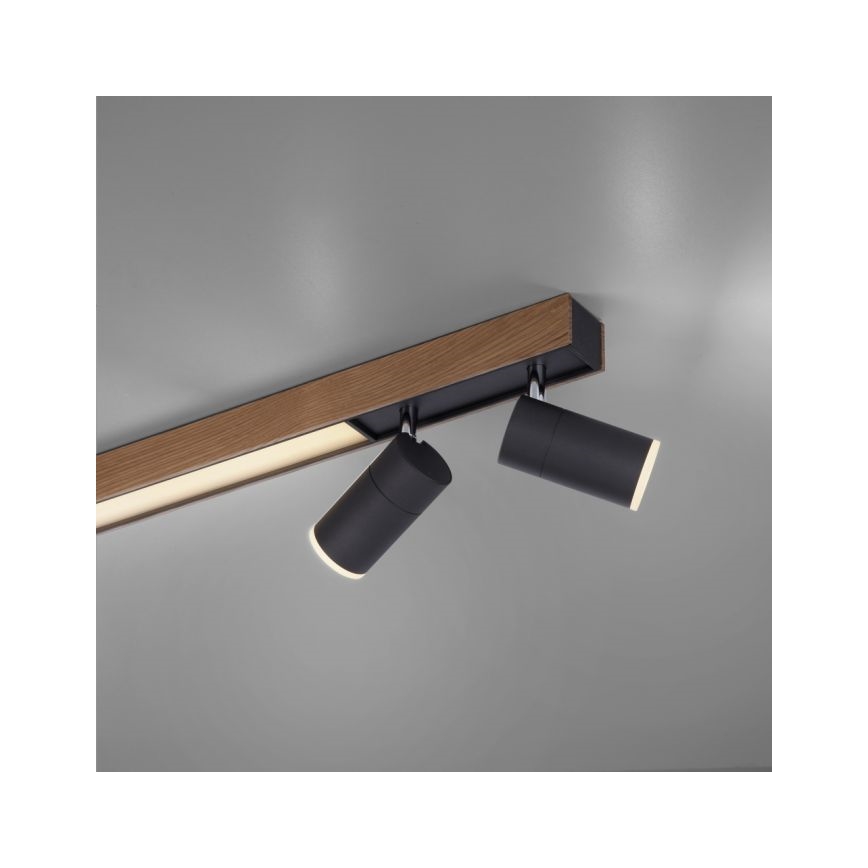 Paul Neuhaus 6121-79 - LED Dimmable spotlight PURE 4xLED/4W/230V + LED/9W 2700-5000K + remote control