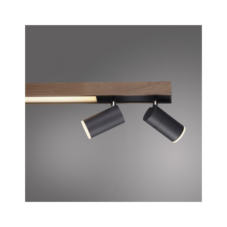 Paul Neuhaus 6121-79 - LED Dimmable spotlight PURE 4xLED/4W/230V + LED/9W 2700-5000K + remote control