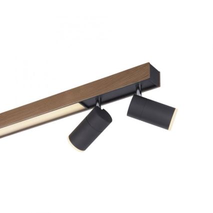 Paul Neuhaus 6121-79 - LED Dimmable spotlight PURE 4xLED/4W/230V + LED/9W 2700-5000K + remote control