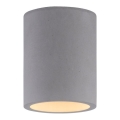 Paul Neuhaus 6160-22 - Spotlight ETON 1xGU10/10W/230V concrete