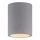 Paul Neuhaus 6160-22 - Spotlight ETON 1xGU10/10W/230V concrete