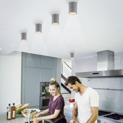 Paul Neuhaus 6160-22 - Spotlight ETON 1xGU10/10W/230V concrete