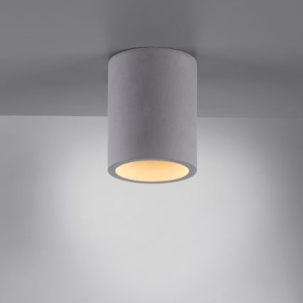 Paul Neuhaus 6160-22 - Spotlight ETON 1xGU10/10W/230V concrete