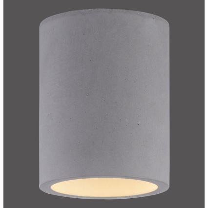 Paul Neuhaus 6160-22 - Spotlight ETON 1xGU10/10W/230V concrete