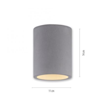 Paul Neuhaus 6160-22 - Spotlight ETON 1xGU10/10W/230V concrete