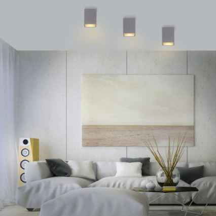 Paul Neuhaus 6161-22 - Spotlight ETON 1xGU10/10W/230V concrete
