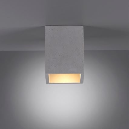 Paul Neuhaus 6161-22 - Spotlight ETON 1xGU10/10W/230V concrete