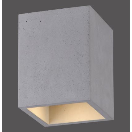 Paul Neuhaus 6161-22 - Spotlight ETON 1xGU10/10W/230V concrete