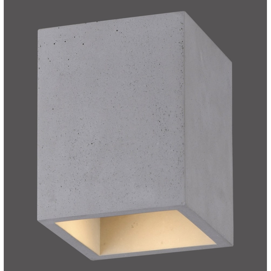 Paul Neuhaus 6161-22 - Spotlight ETON 1xGU10/10W/230V concrete