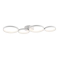 Paul Neuhaus 6183-16 - LED Dimmable ceiling light KIRINGE LED/26W/230V
