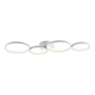 Paul Neuhaus 6183-16 - LED Dimmable ceiling light KIRINGE LED/26W/230V