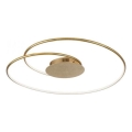 Paul Neuhaus 6189-12 - LED Dimmable ceiling light NASTRO LED/26W/230V