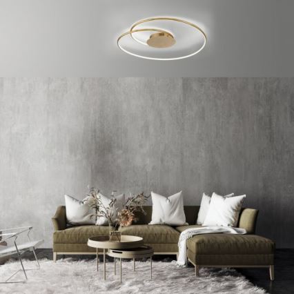Paul Neuhaus 6189-12 - LED Dimmable ceiling light NASTRO LED/26W/230V