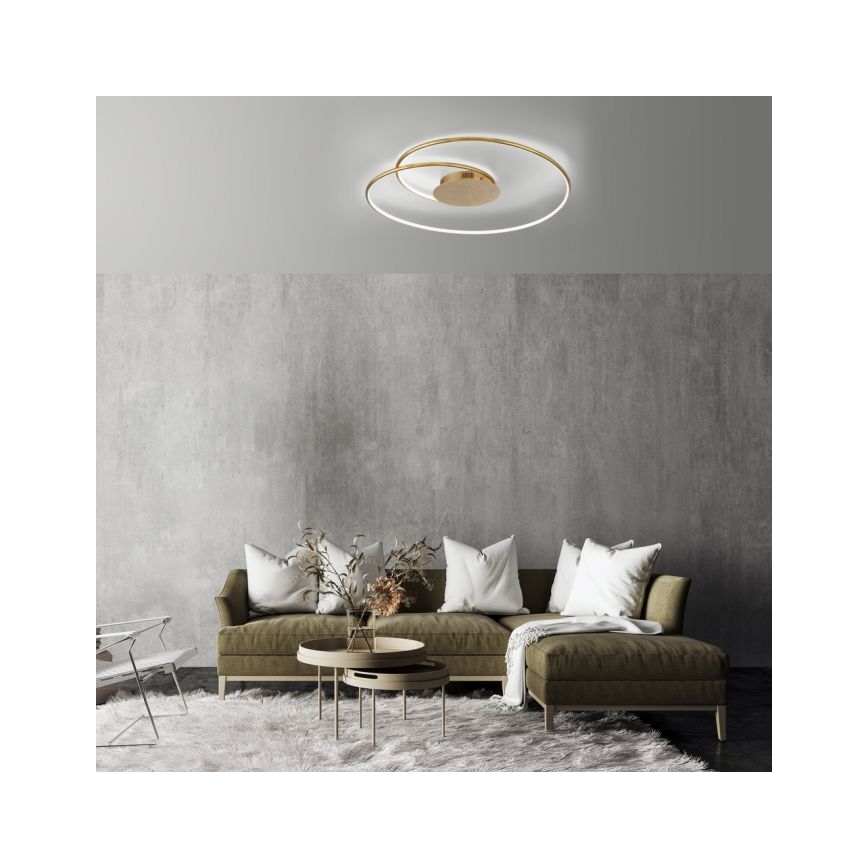Paul Neuhaus 6189-12 - LED Dimmable ceiling light NASTRO LED/26W/230V