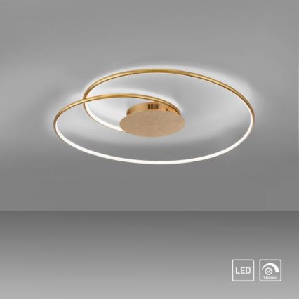 Paul Neuhaus 6189-12 - LED Dimmable ceiling light NASTRO LED/26W/230V