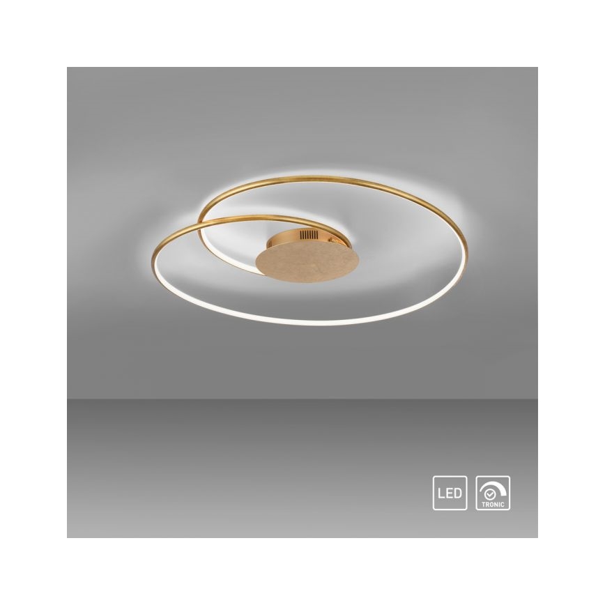 Paul Neuhaus 6189-12 - LED Dimmable ceiling light NASTRO LED/26W/230V