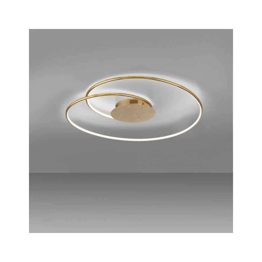 Paul Neuhaus 6189-12 - LED Dimmable ceiling light NASTRO LED/26W/230V