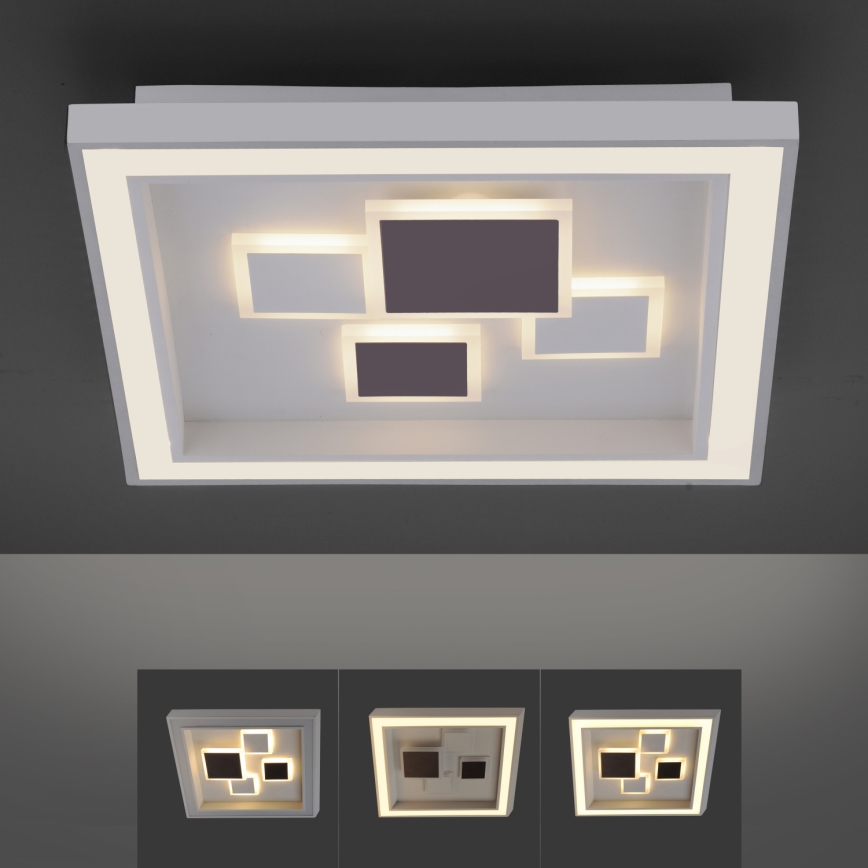Paul Neuhaus 6283-16 - LED Dimming ceiling light ELIZA LED/30W/230V + LED/18,5W