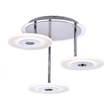 Paul Neuhaus 6446-55 - LED Dimmable chandelier ADALI 3xLED/13W/230V