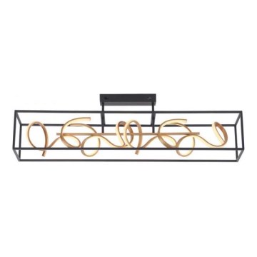 Paul Neuhaus 6473-18 - LED Dimming pendant chandelier SELINA 4xLED/10,2W/230V