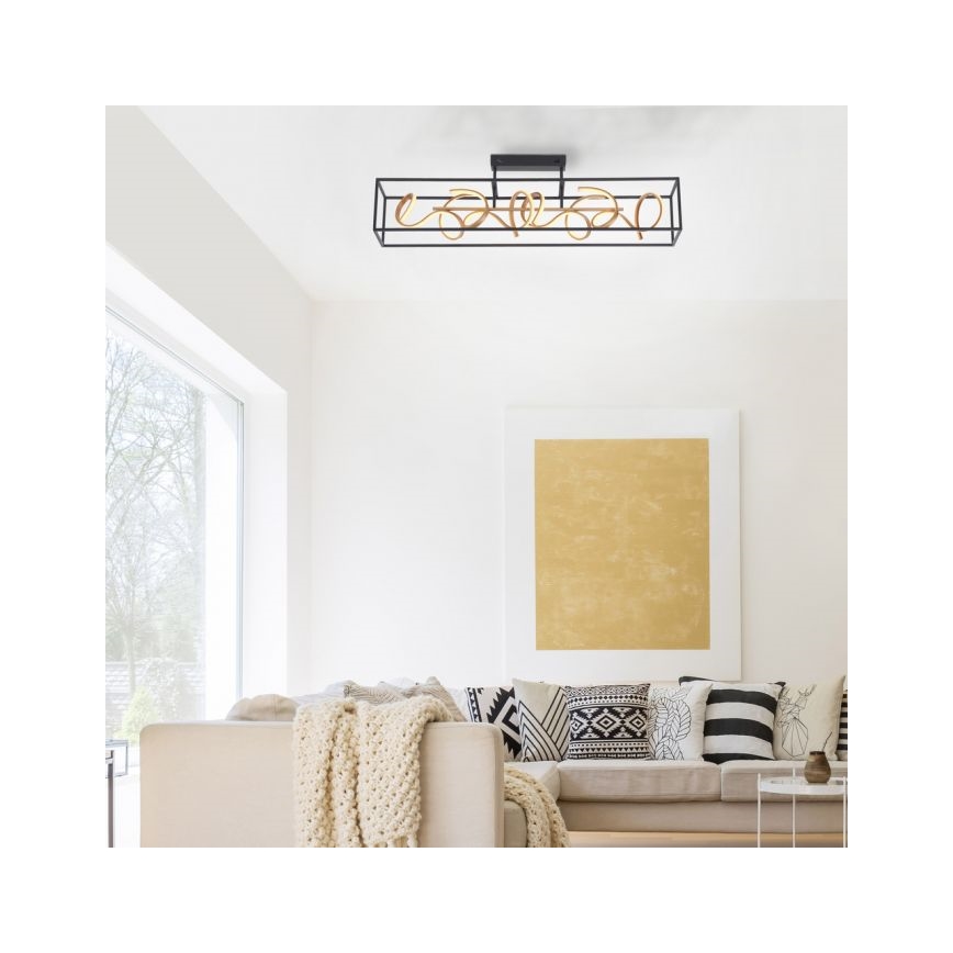 Paul Neuhaus 6473-18 - LED Dimming pendant chandelier SELINA 4xLED/10,2W/230V