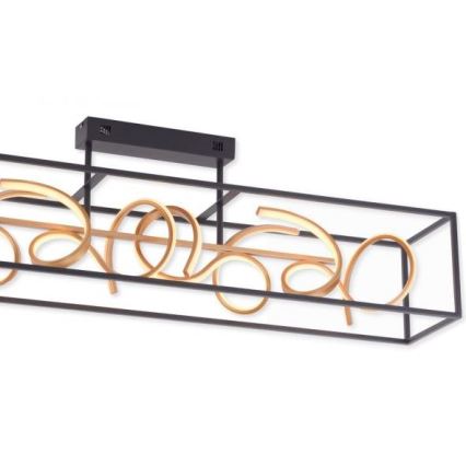 Paul Neuhaus 6473-18 - LED Dimming pendant chandelier SELINA 4xLED/10,2W/230V