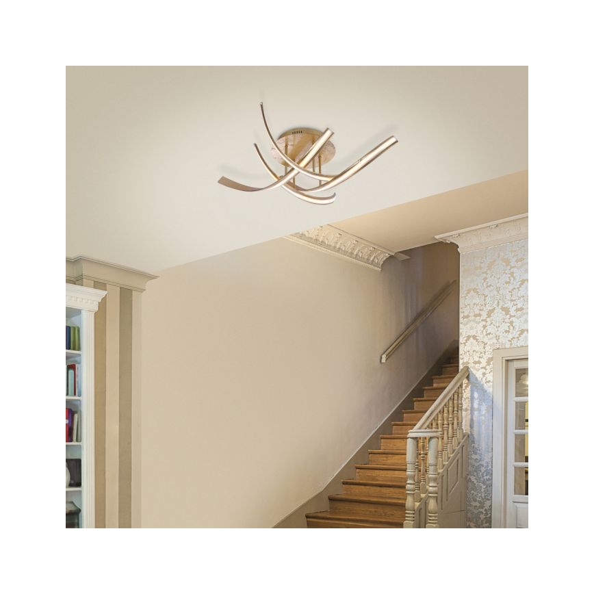 Paul Neuhaus 6474-12 - LED Dimmable surface-mounted chandelier LINDA 4xLED/7W/230V