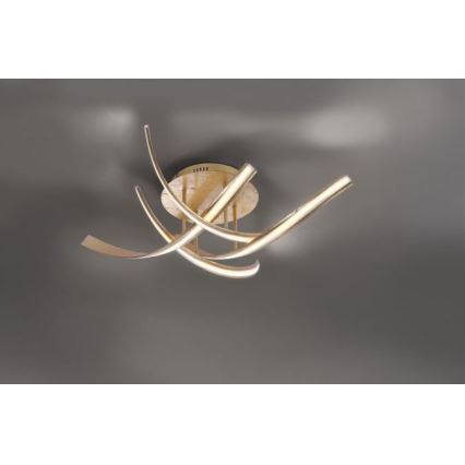 Paul Neuhaus 6474-12 - LED Dimmable surface-mounted chandelier LINDA 4xLED/7W/230V