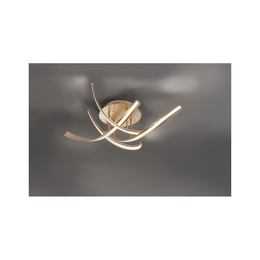Paul Neuhaus 6474-12 - LED Dimmable surface-mounted chandelier LINDA 4xLED/7W/230V